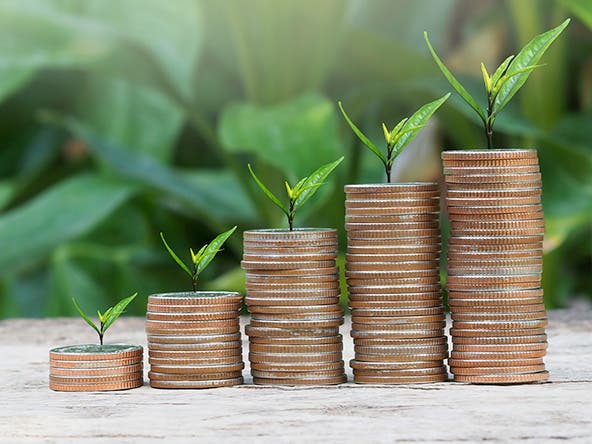 Best Investment Ideas for People with Zero Knowledge in the Stock Market