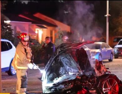 Driver killed after slamming into tree in early morning crash in Encino