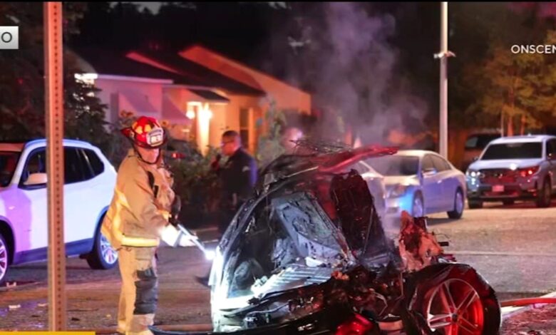 Driver killed after slamming into tree in early morning crash in Encino