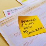 How to Conduct Market Research for Business Plan