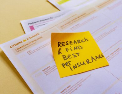 How to Conduct Market Research for Business Plan